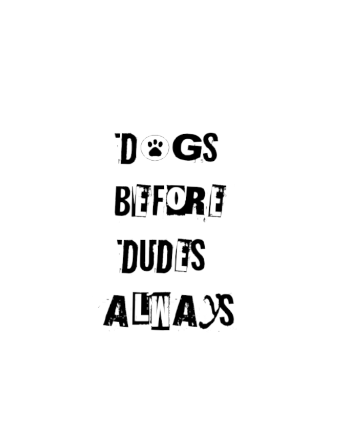 Dogs Before Dudes Always - T-Shirt